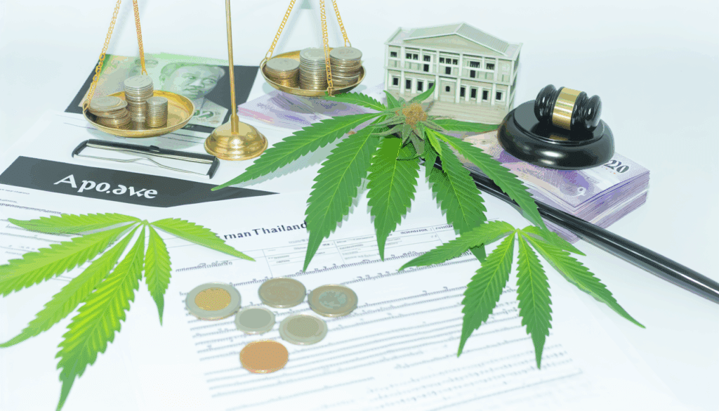 Investors Bet Big on Cannabis Retail Franchises in Thailand Investors Bet Big on Cannabis Retail Franchises in Thailand